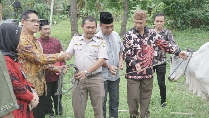 Wakil walikota menyerahkan hewan qurban pemerintah kota bitung dalam pada hari Iedul Adha tahun ini