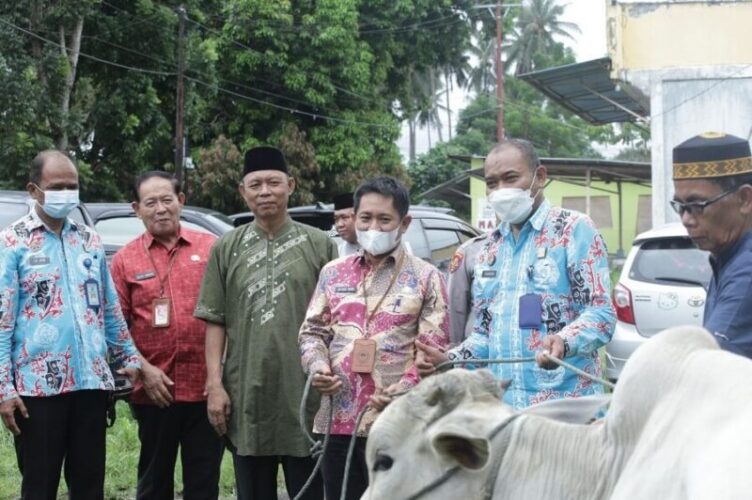 Wakil walikota menyerahkan hewan qurban pemerintah kota bitung dalam pada hari Iedul Adha tahun ini