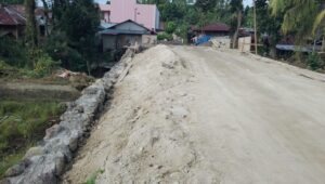 KIBAR SOROT JEMBATAN TIMBULUS DESA WIOI 3 PATUT DI PERTANYAKAN