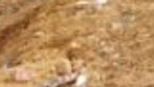 Pembiaran Oleh Aparat Penegak Hukum di Sulut, Pelaku Tambang Ilegal di Tobayagan Bolsel Makin Marak