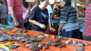 PJ Bupati Tamuntuan Sambangi Pasar Manganitu Pantau Kebutuhan Pokok Masyarakat Hingga Sarapan Nasi Kuning